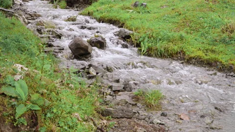 A small forest stream with water rapidly flowing over the stones Stock Footage 158087145