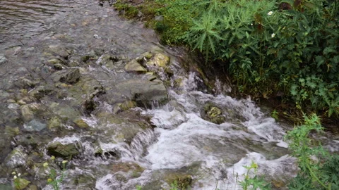 A small forest stream with water rapidly flowing over the stones Stock Footage 158166226