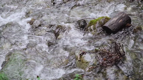 A small forest stream with water rapidly flowing over the stones Video stock 158166622