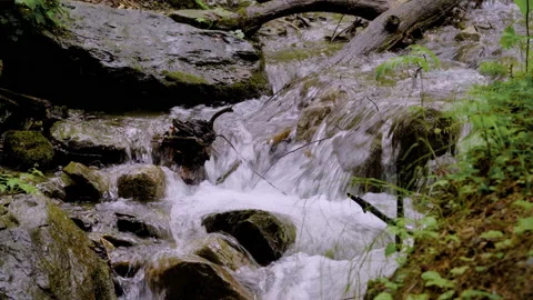 A small forest stream with water rapidly flowing over the stones Stockbeeldmateriaal 158166835