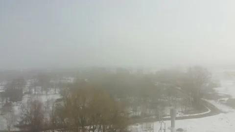 A small forest trees mixed with houses in the fog aerial Stock Footage 198523544