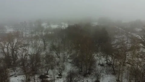 A small forest trees mixed with houses in the fog aerial Stock Footage 201234453