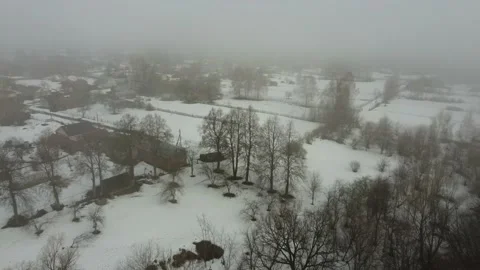A small forest trees mixed with houses in the fog aerial Stock Footage 201244376