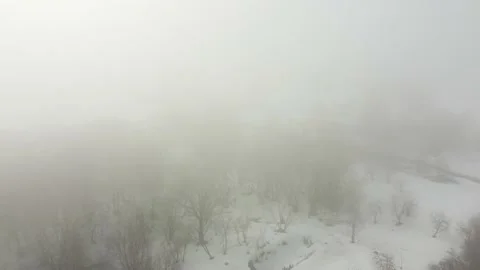 A small forest trees mixed with houses in the fog aerial Stock Footage 201245811