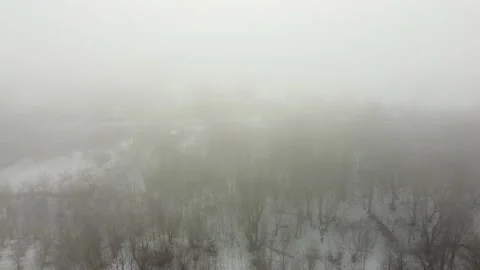 A small forest trees mixed with houses in the fog aerial Stock Footage 201248434