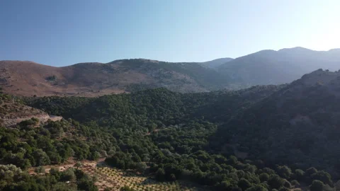 Small forest in the valley of Crete Video stock 170589088