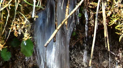 Small forest water fall Stock Footage 22605392