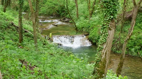 Small forest waterfall and clear woodland stream in lush spring nature 스톡 동영상 331196810