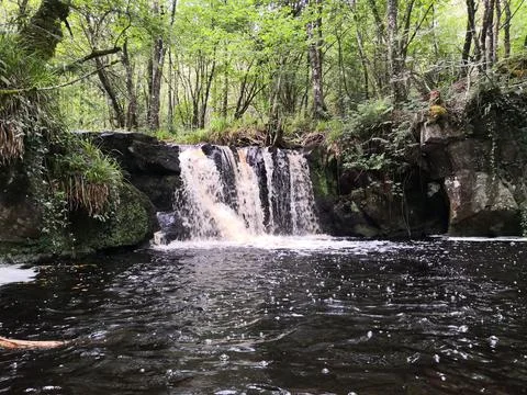 Small Forest Waterfall Cascading Into a Dark Natural Pool Foto stock