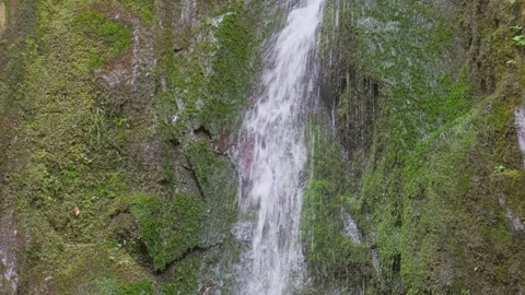Small forest waterfall cascading down a steep mossy rock wall Stock Footage 341977905