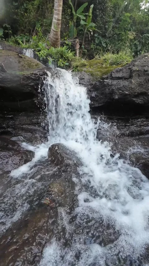 Small Forest Waterfall Cascading Over Dark Rocks in 4K Stock Footage 336748803