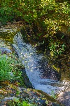 Small forest waterfall cascading over mossy rocks with green foliage Stock Photos