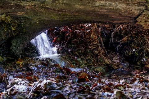 Small forest waterfall flowing between rocks in Mala Fatra, Slovakia Stock Photos
