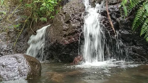 Small Forest Waterfall Flowing Gently Over Rocks Nature Scene Stock Footage 330541210