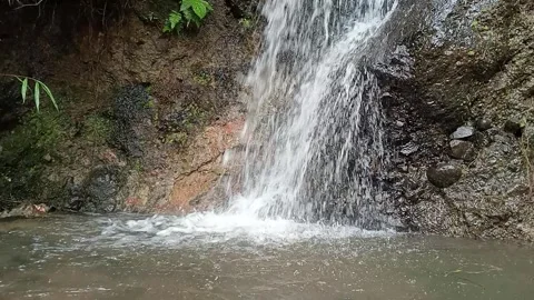 Small Forest Waterfall Flowing Over Rocks in Tropical Jungle Stock Footage 329899356