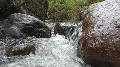 Small Forest Waterfall Flowing Over Rocks Close-Up Nature Scene Stock Footage 330524356