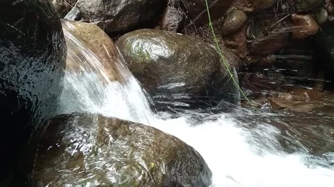 Small Forest Waterfall Flowing Over Rocks | Natural Stream Close Up Stock Footage 330562121