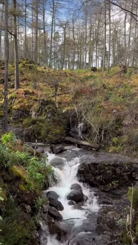 Small Forest Waterfall Flowing Over Rocks Video stock 331530647