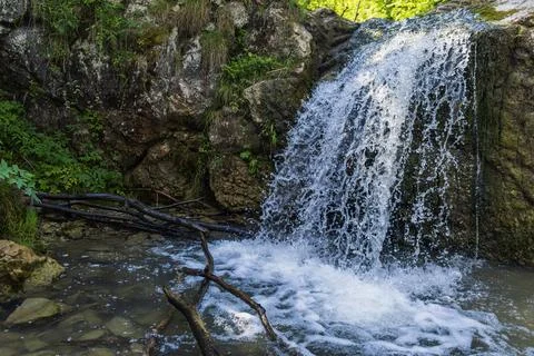 Small Forest Waterfall Flowing Over Rocky Cliff into Clear Pool Stockfoto's