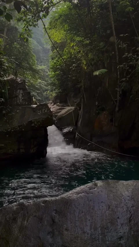 Small Forest Waterfall Flowing Into Serene Deep Pool Stock Footage 341320435