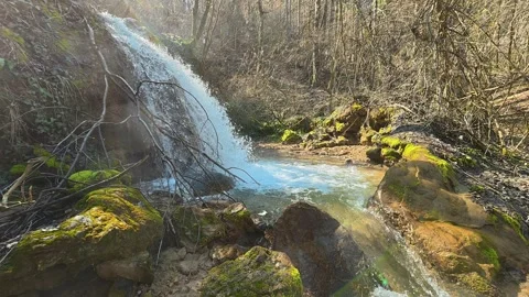 Small Forest Waterfall Flowing into Stream – Slow Upward Shot Autumn Video stock 330632798