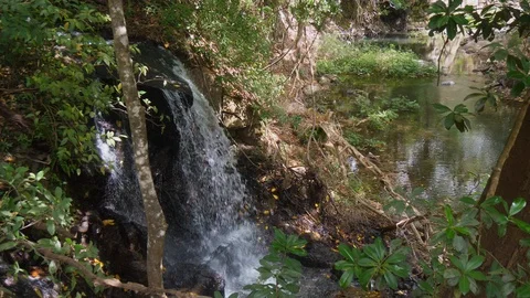 Small forest waterfall Stock Footage 88826559