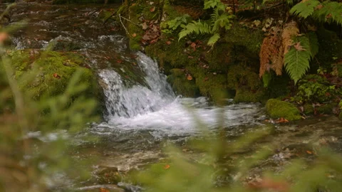 Small forest waterfall Stock Footage 258936699