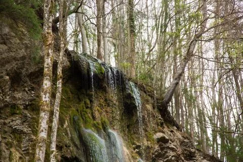 Small forest waterfall in Gorges de la Jogne river canyon in Broc, Switzerland Stock Photos