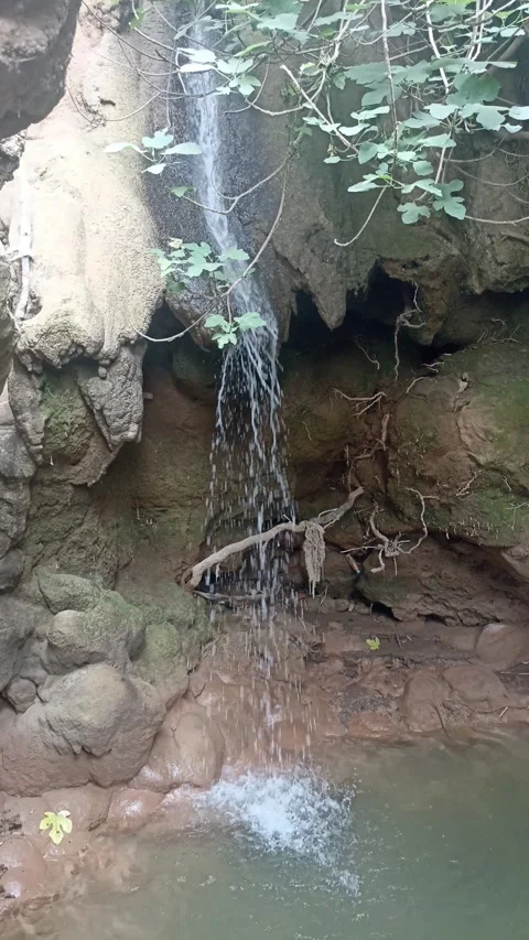 Small Forest Waterfall With Green Leaves and Roots Vídeo Stock 340397848
