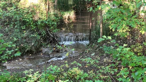 Small Forest Waterfall on Nine Mile Portage near Barrie Stock Footage 318197269