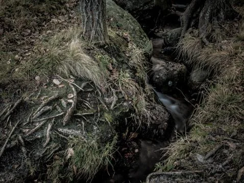 Small forest waterfall Stock Photos