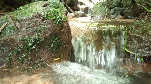 Small Forest Waterfall with Smooth Flowing Natural Water Stock Footage 331785228