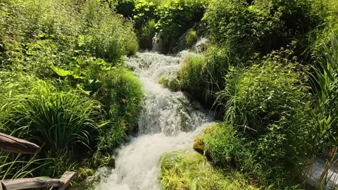 Small Forest Waterfall Stream Stock Footage 327588457