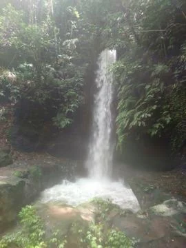 Small Forest Waterfall Surrounded by Lush Tropical Vegetation Stock Photos