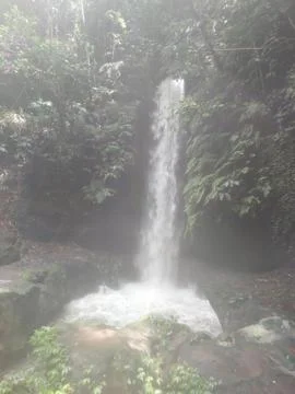 Small Forest Waterfall Surrounded by Lush Tropical Vegetation Stock Photos