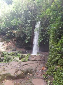 Small Forest Waterfall Surrounded by Lush Tropical Vegetation Stock Photos