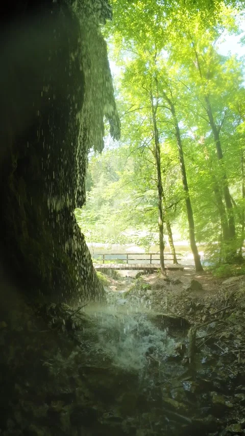 Small Forest Waterfalls Flowing Over Mossy Rocks on a Sunny Summer Day Stock Footage 339281675