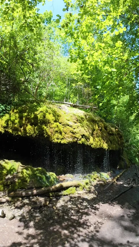 Small Forest Waterfalls Flowing Over Mossy Rocks on a Sunny Summer Day Stock Footage 339281689