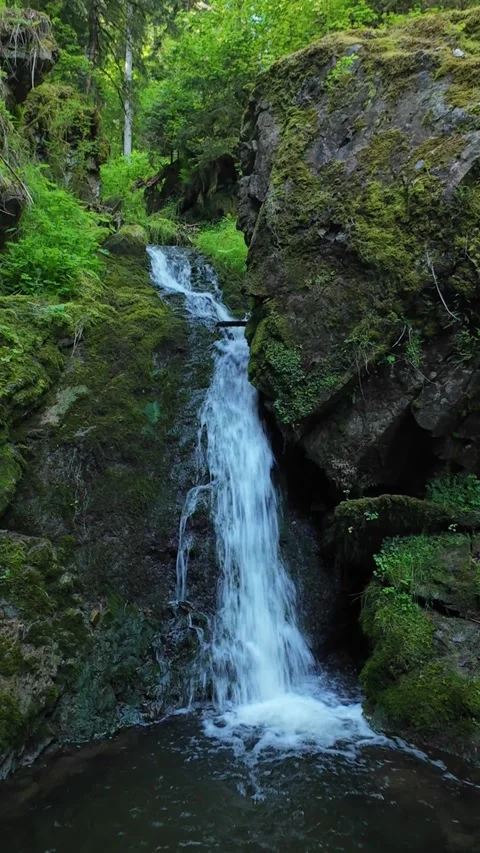 Small Forest Waterfalls Flowing Over Mossy Rocks on a Sunny Summer Day Stock Footage 339284146