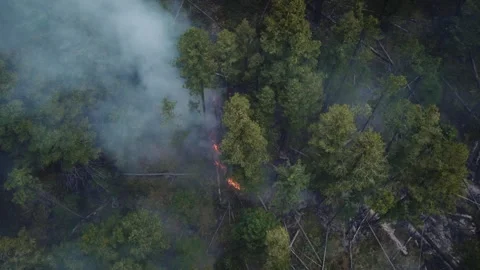 Small Forrest Fire Begins after Lightning Storm in British Columbia Vidéo 307118832