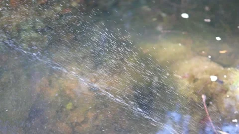 Small fountain in a pond Stock Footage 150678334