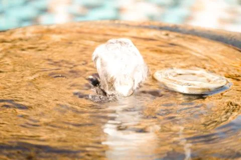 A small fountain at the pool. Stock Photos