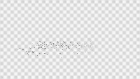 SMALL FRACTURS  SIDE ALPHA Stock Footage 240603281