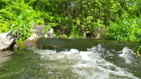 Small fresh creek Video stock 132301623