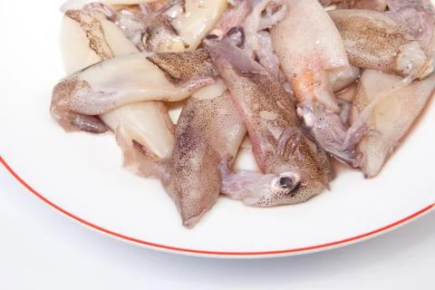 Small freshly squids Stock Photos