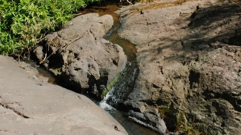 Small Freshwater Running Stream Stock Footage 152681454