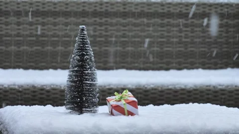 Small frosted pine tree and a red striped gift box sitting on a snow Stock Footage 325979813