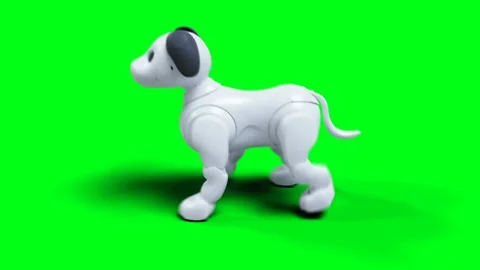 Small funny robotic smart dog, pet. Green screen isolate. Video stock 268361535