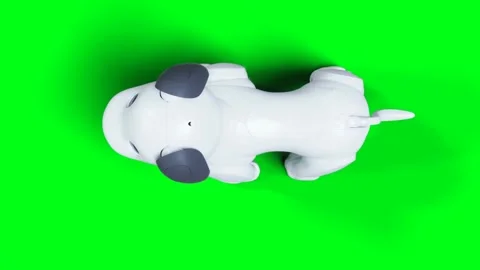 Small funny robotic smart dog, pet. Green screen isolate. 動画素材 268362087