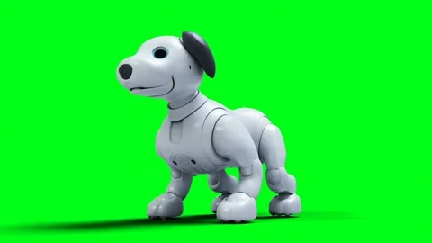 Small funny robotic smart dog, pet. Green screen isolate. Stock Footage 268362498